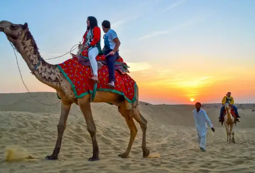 Half-Day Sunset Camel Safari in Rajasthan